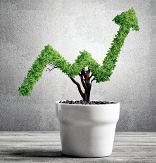 Wealth Accumulation Plan